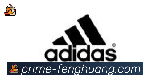 凤凰体育合作伙伴